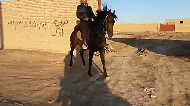 سپهر میبد  مالک : یوسف فرزندی