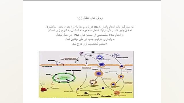مروری بر محصولات تراریخته و سا...