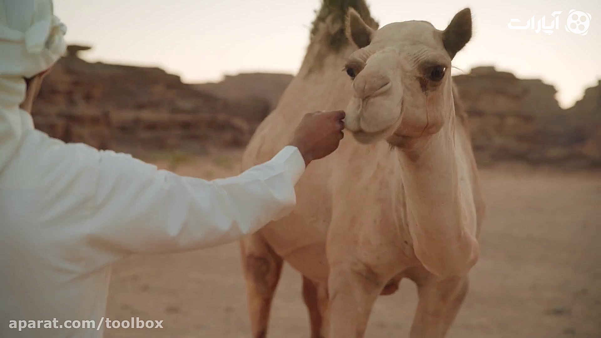 کلیپ متفاوت عربستان برای جذب ت...