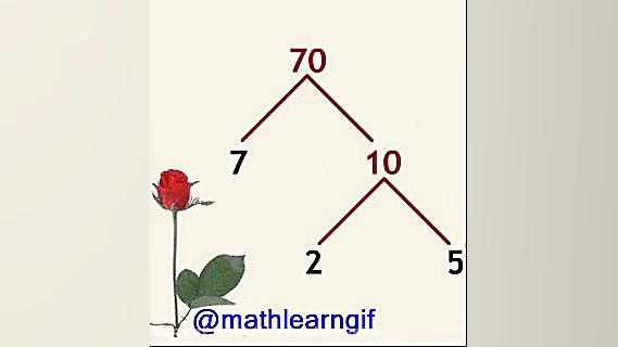 نمودار مقسوم علیه های یک عدد ب...