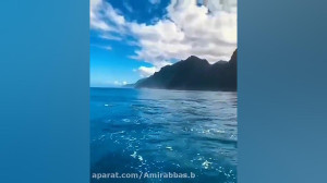 دکلمه ناب و احساسی  روزگار پر...
