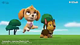 سگ های نگهبان بهترین وجدیدترین...