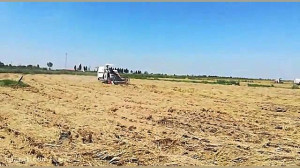 برداشت مکانیزه شلتوک برنج شرکت...