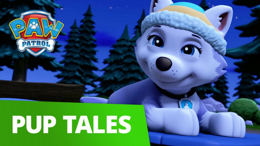 کارتون سگهای نگهبان :: نجات قو...