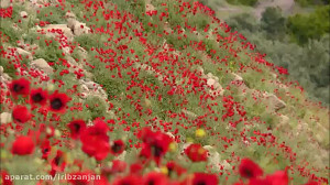 ترانه ترکی زیبای "بو دونی...