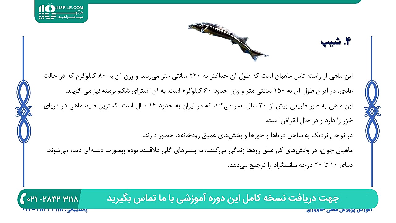 آموزش پرورش ماهی | پرورش ماهی...