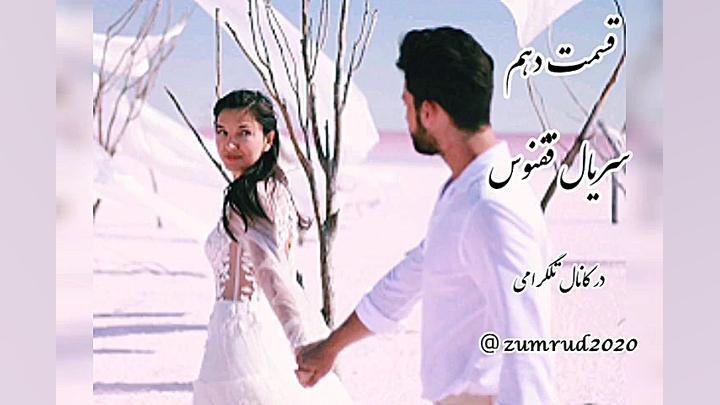 قسمت دهم سریال ققنوس