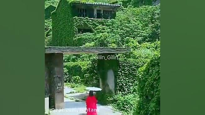 شهر تمام خزه بسیار زیبا