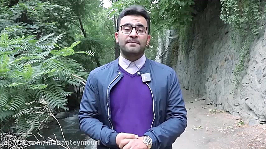 دوره میکرو هوش مالی