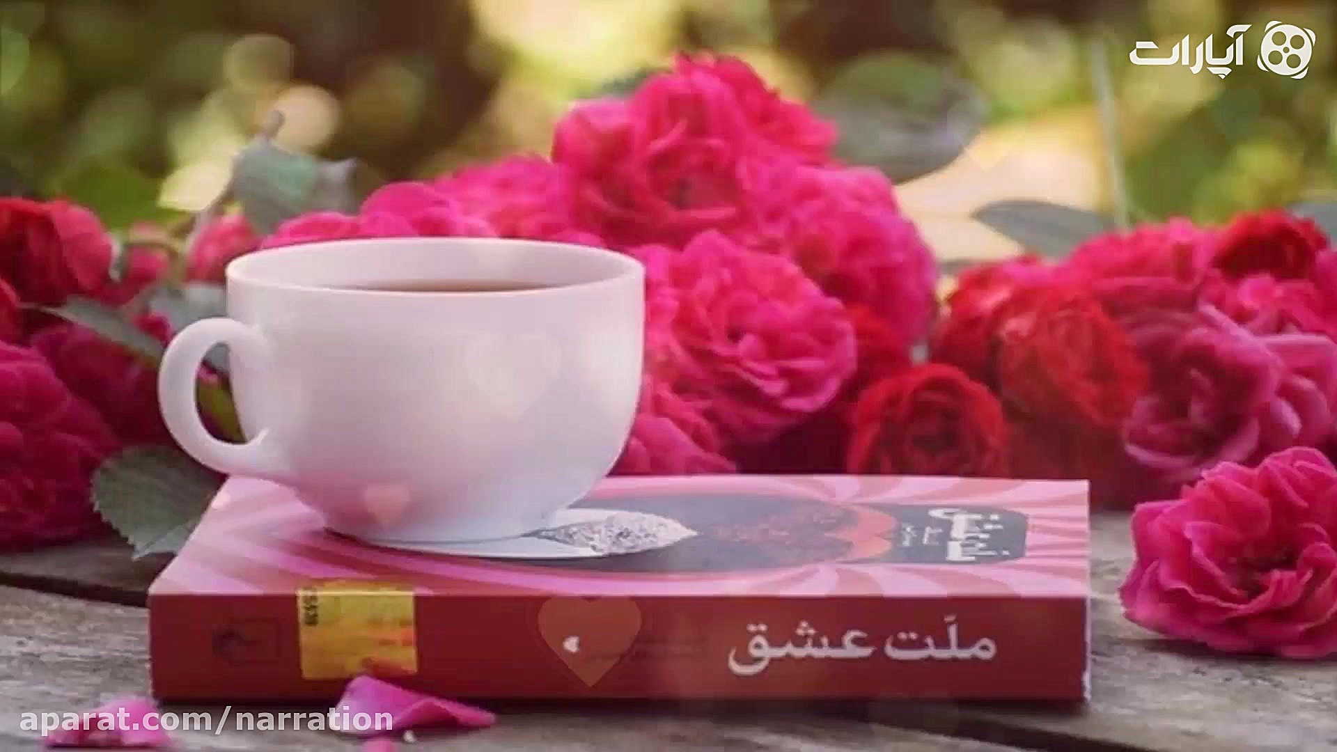 معرفی کتاب ملت عشق  برنامه سخن...