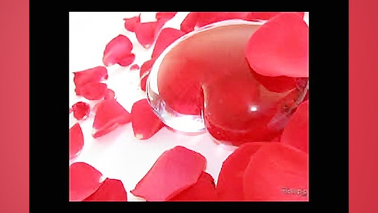 تقدیم به نرگس گلی:) }: