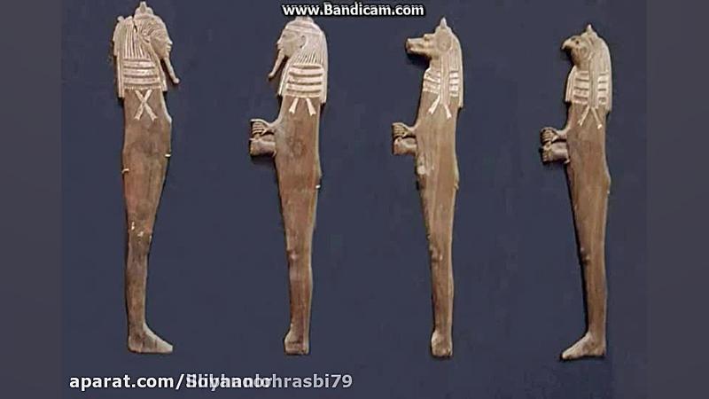 مستند کفش های پاشنه بلند