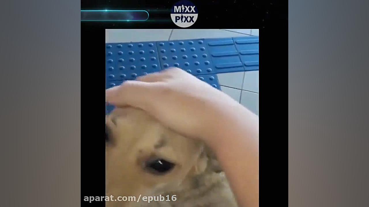 خوش قلب ترین مشتری !