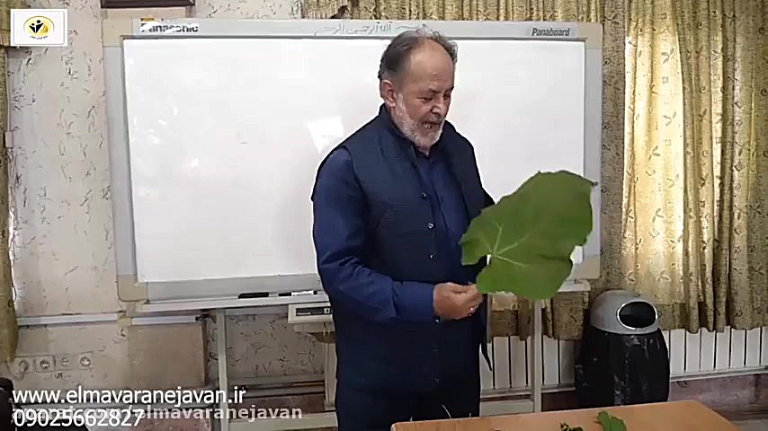 آموزش ریاضی خلاق با ابزار طبیع...