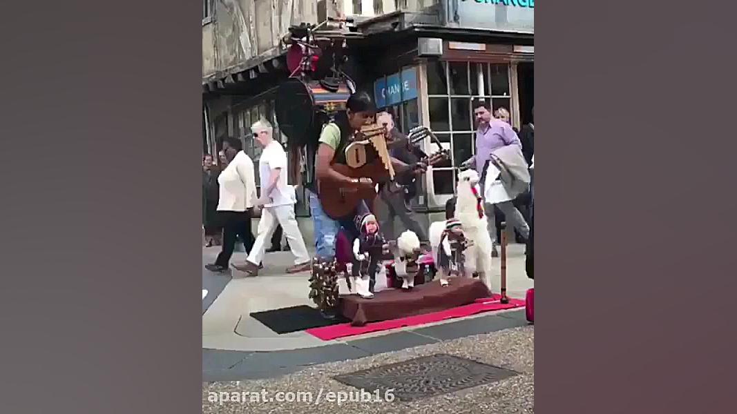 هنرمند واقعی یعنی ایشون !!