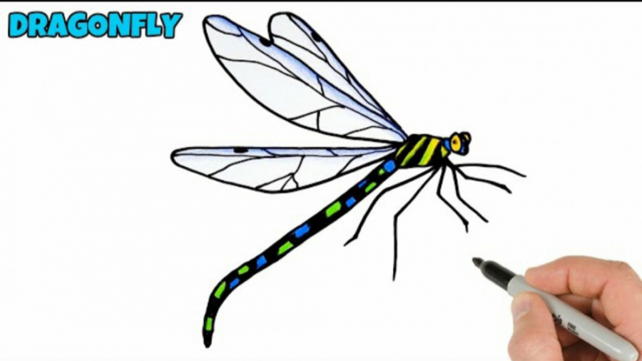 آموزش نقاشی به کودکان : آموزش...