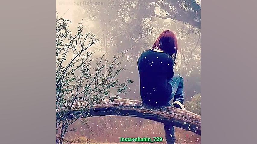 استوری مخصوص وضعیت واتساپ