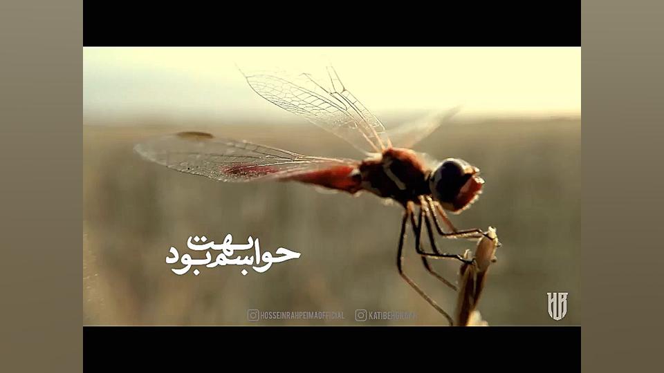 حواسم بهت بود  رضا صادقی