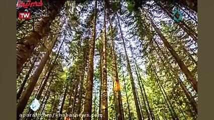 انرژی مثبت مخصوص امروز