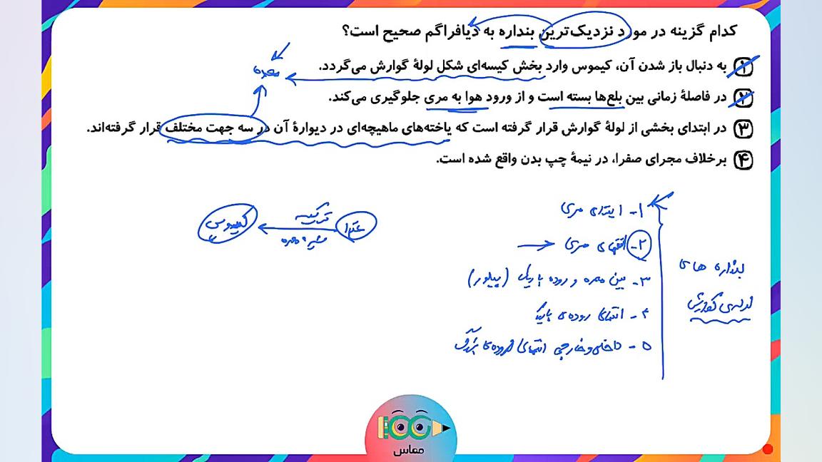 روز پُرس شماره 12