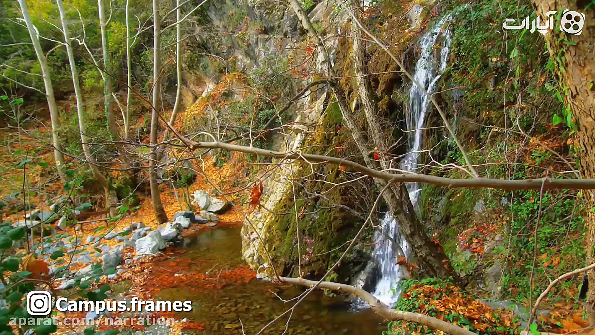 دکلمه پاییز  با صدای زهرا جواد...