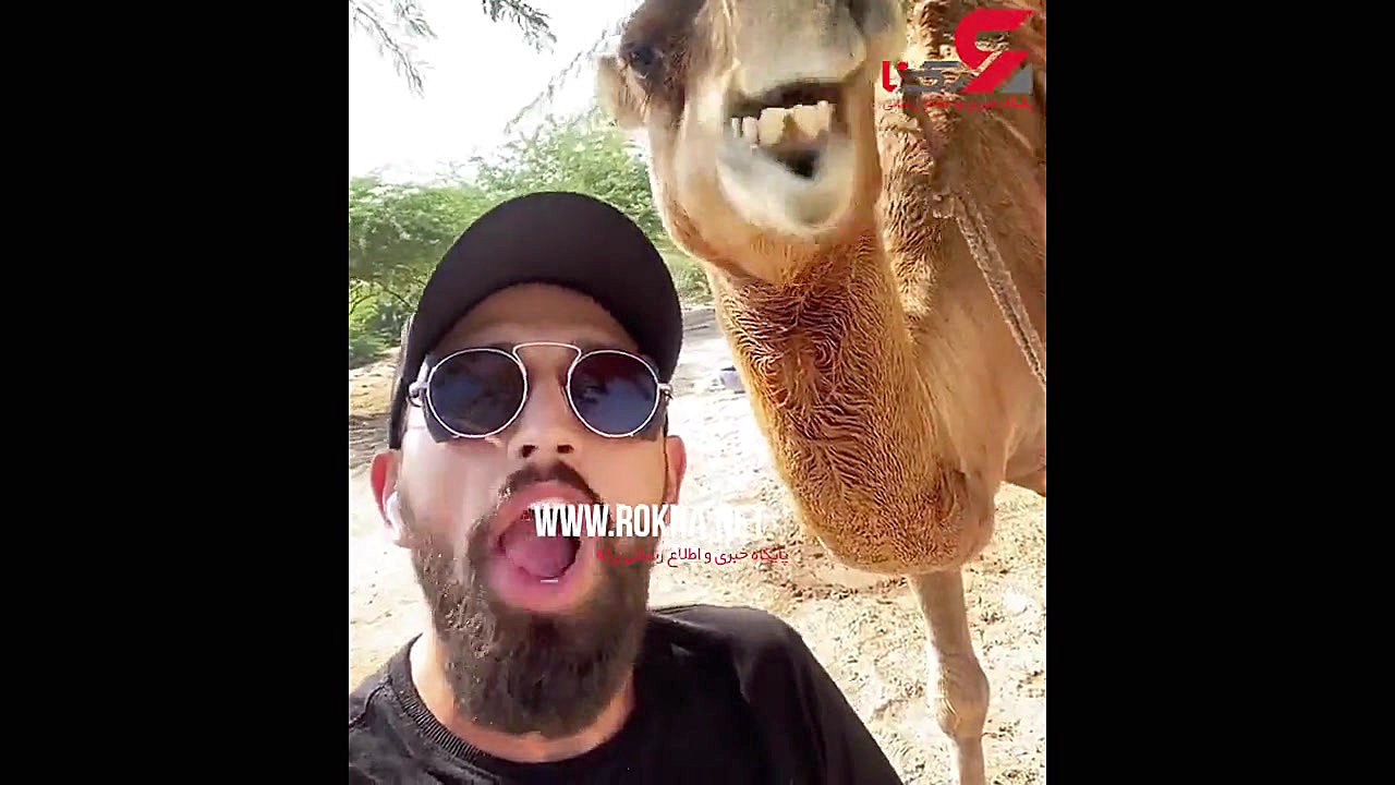 حرکت زشت محسن افشانی با شتر