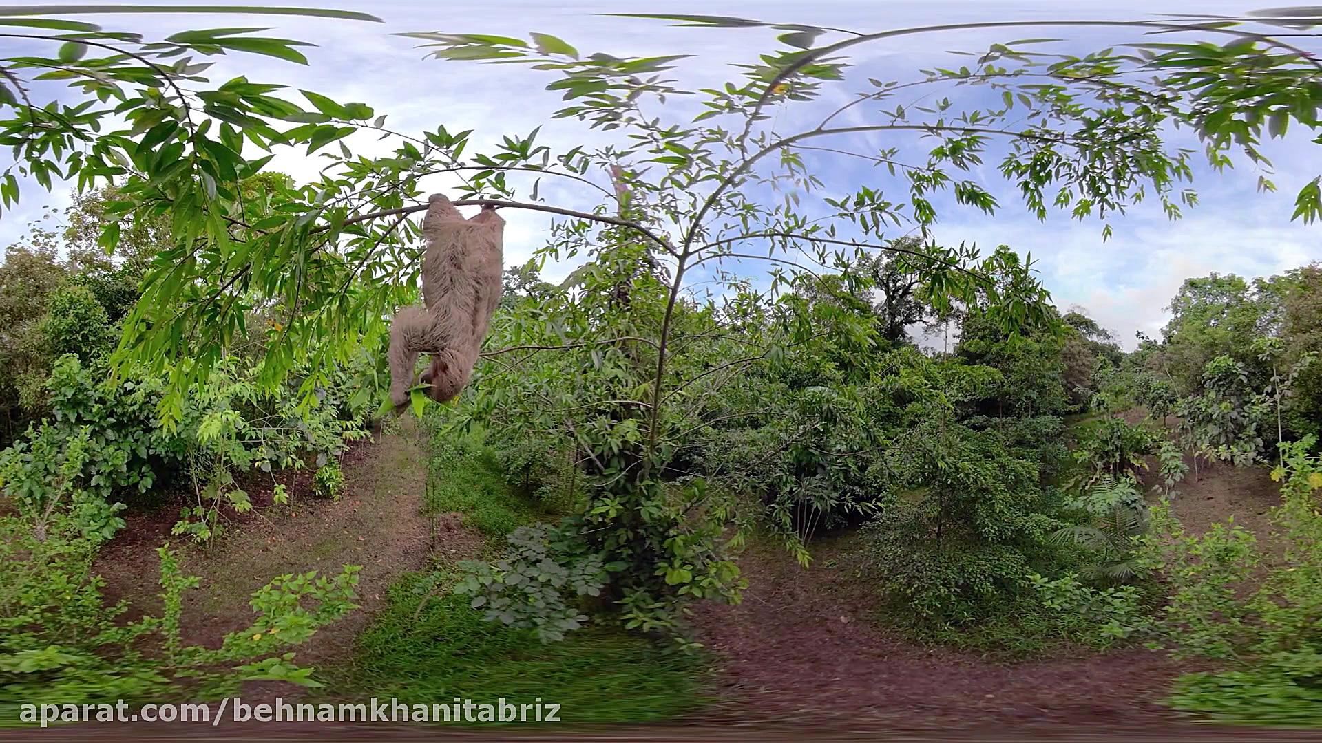 هفت جهان، یک سیاره  حیات وحش