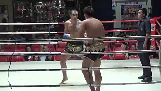 ابوفاضل گودرزی