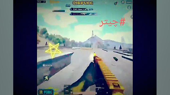 چیتر های  سگ