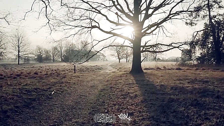 سخنرانی حجت الاسلام صادقی واعظ...