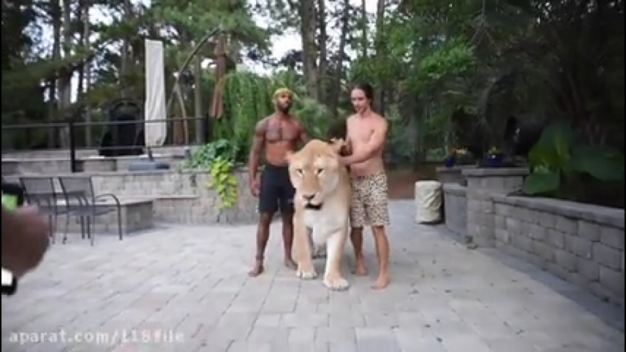 فیلم زندگی تارزان واقعی با حیو...