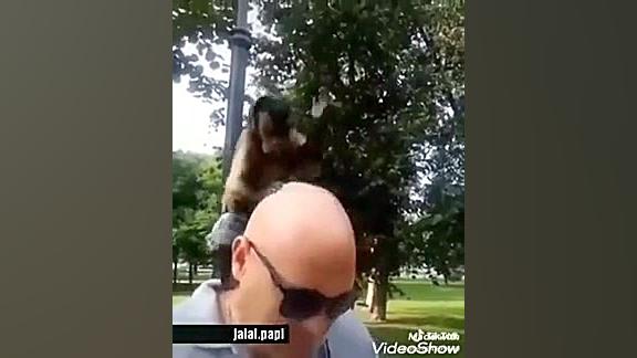 فیلم خنده دار