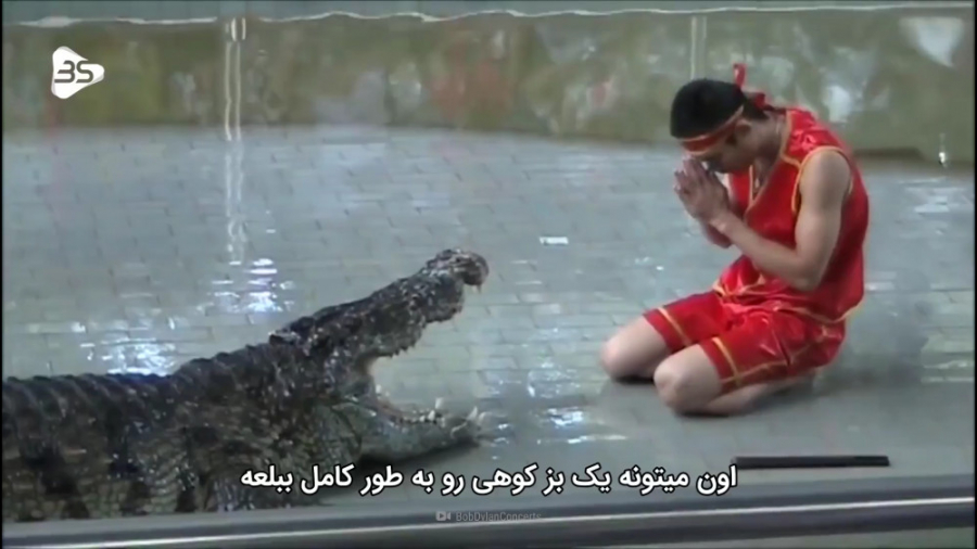 چه اتفاقی میفتد اگر توسط کروکو...