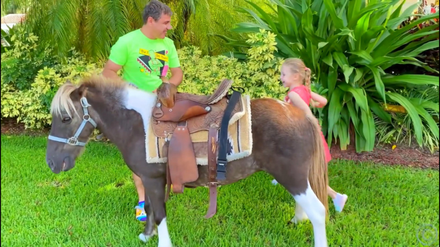 ناستیا و بابا  ناستیا حیوان خا...