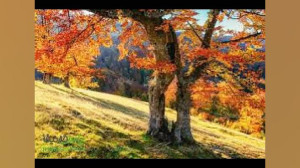 رمانس پاییز  بداهه نوازی پیمان...