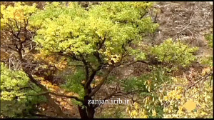 ترانه ترکی سئوگی
