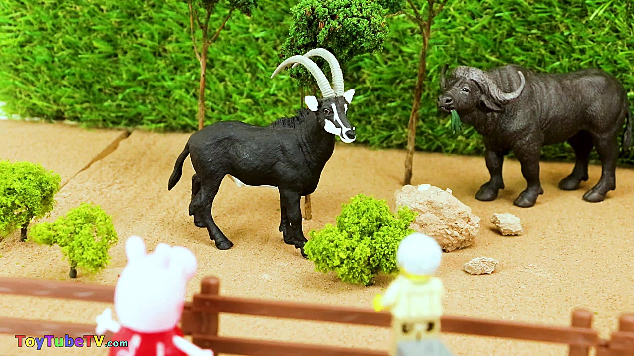 اسباب بازیهای پپا پیگ : بازدید...