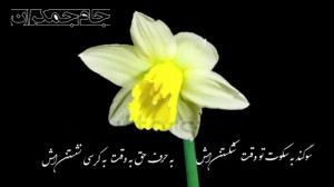 سرود ظهور امام زمان عج