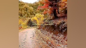 دلتنگ که میشوم