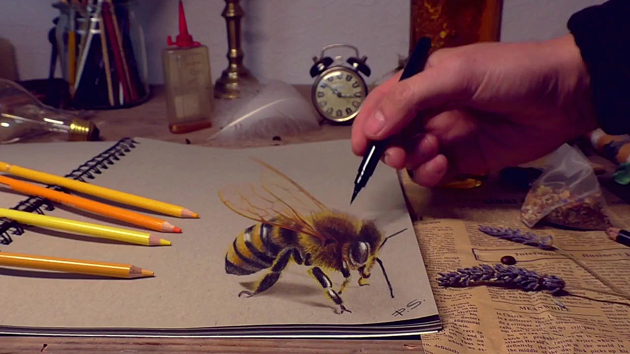 نحوه کشیدن نقاشی سه بعدی زنبور...