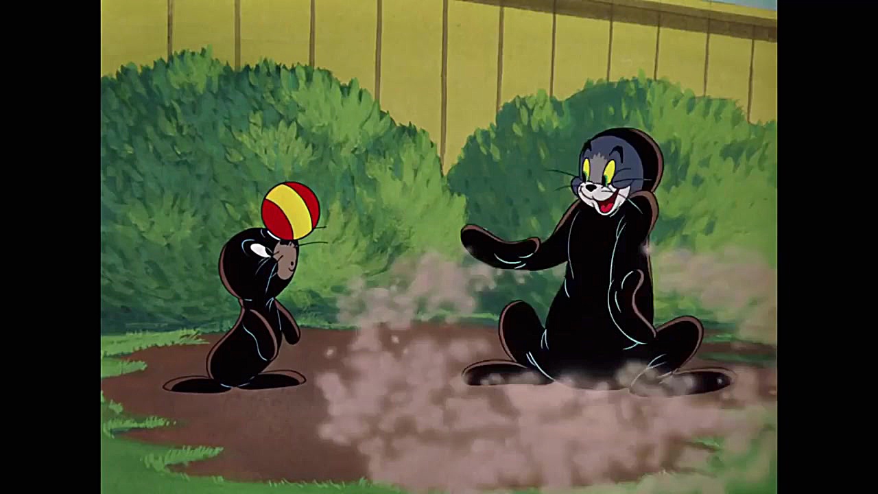 کارتون دیدنی موش و گربه