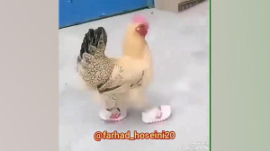 کلیپ طنز خنده دار ...... تبلیغ...