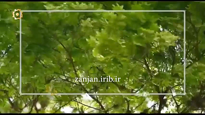 تو آمده ای جان به لب من برسانی...