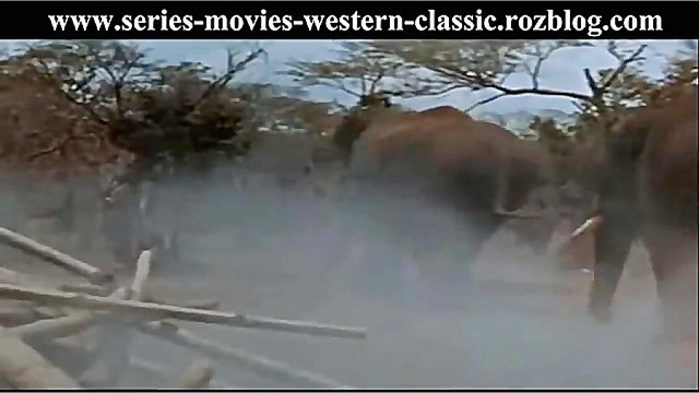 صحنه ای دوبله شده از سریال قدی...