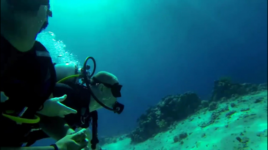 فیلمی از اعماق دریای خزر