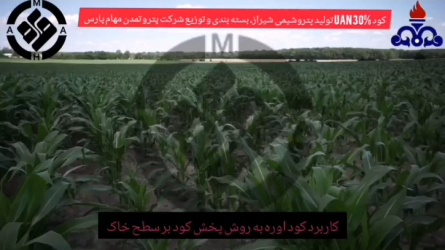 کاربرد کود UAN به روش تزریق در...