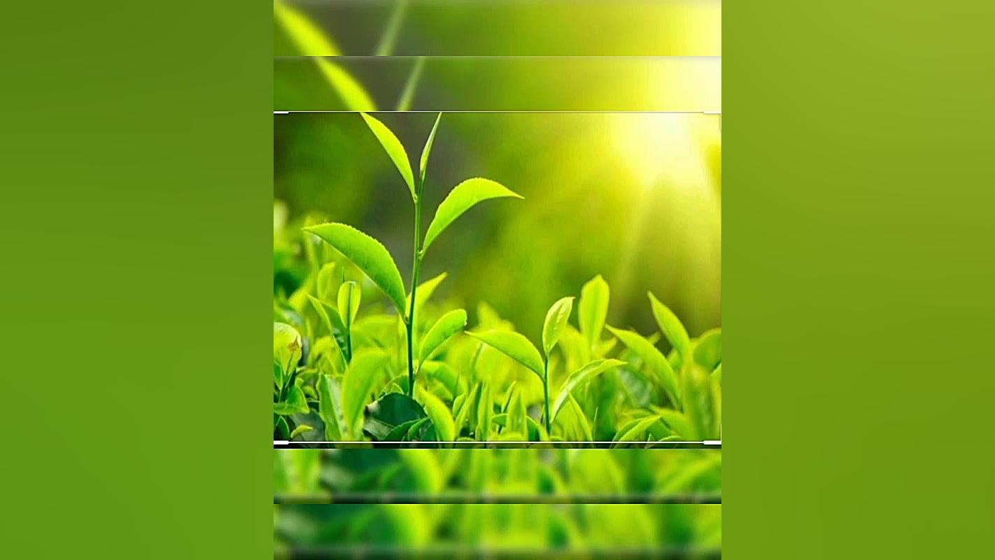 علوم سوم ابتدایی درس۳ و درس۴(م...