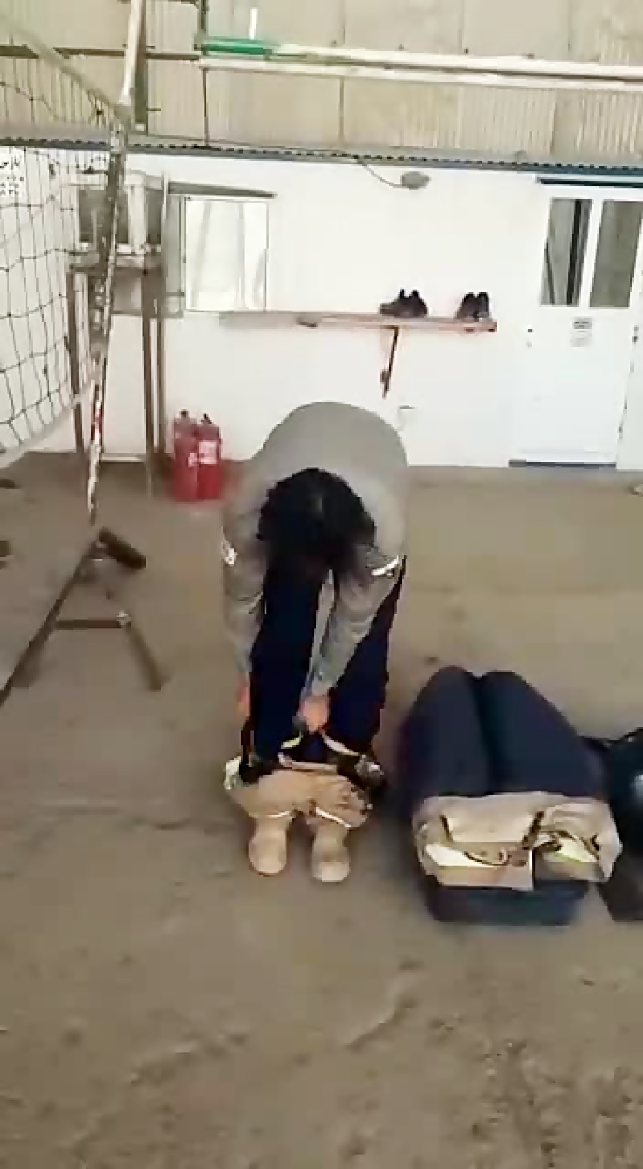 آتش نشانی گهرنشاط