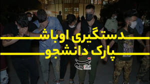 بازداشت اراذل و اوباش پارک دان...