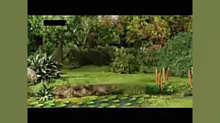 دانلود برنامه کودک جدید برای د...